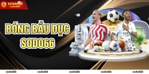 Cá Cược Bóng Bầu Dục Cho Người Mới Bắt Đầu Tại SODO66