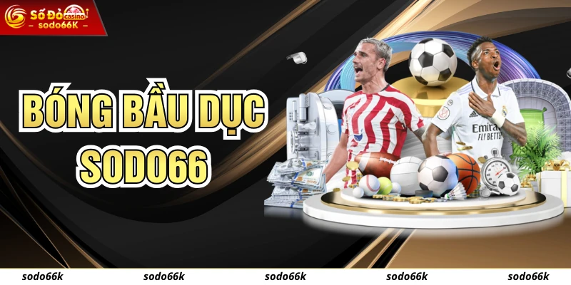 Cá Cược Bóng Bầu Dục Cho Người Mới Bắt Đầu Tại SODO66