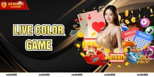 Live Color Game - Game Xí Ngầu Tại SODO66 Thưởng Cực Cao