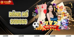 Rồng Hổ SODO66 - Hướng Dẫn Luật Chơi Mới Nhất Cho Mọi Người