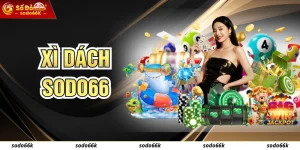Xì Dách - Khám Phá Game Bài Đình Đám Top Đầu Tại SODO66