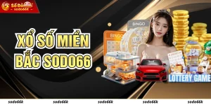 Xổ Số Miền Bắc - Loại Hình Giải Trí Hấp Dẫn Top 1 Hiện Nay